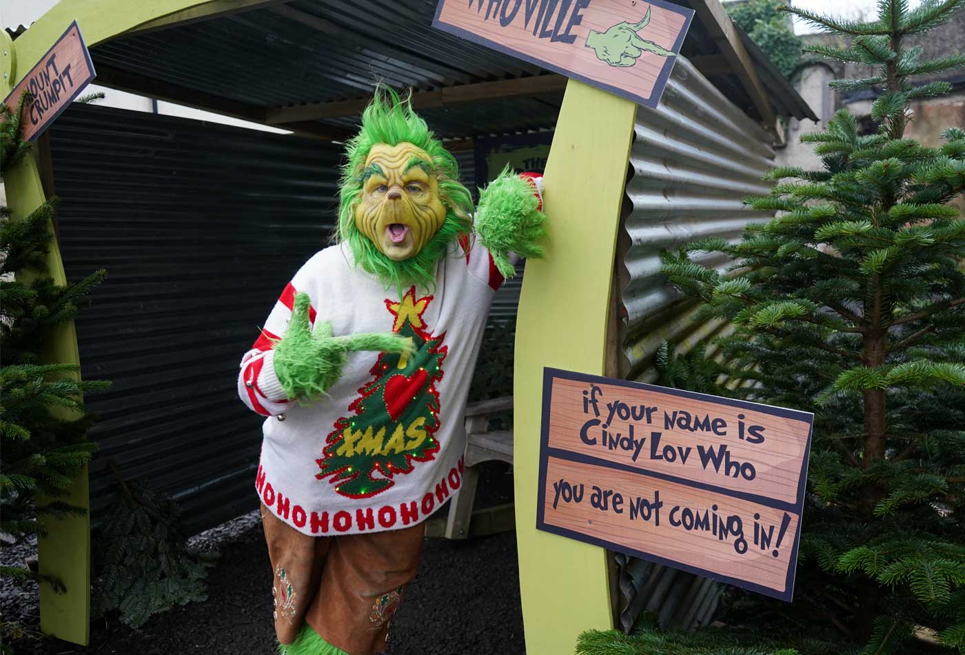 shows an image of someone dressed as the grinch