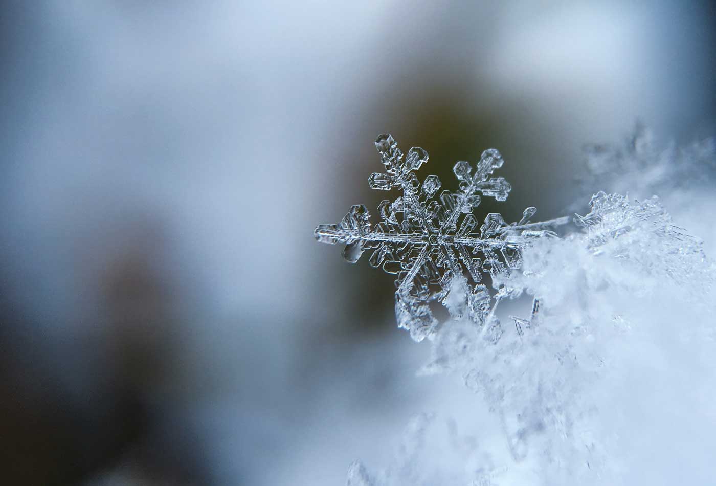 shows an image of a snowflake