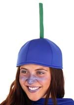 Adult Blueberry Costume Alt 1