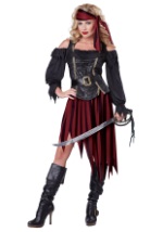Queen of the High Seas Costume
