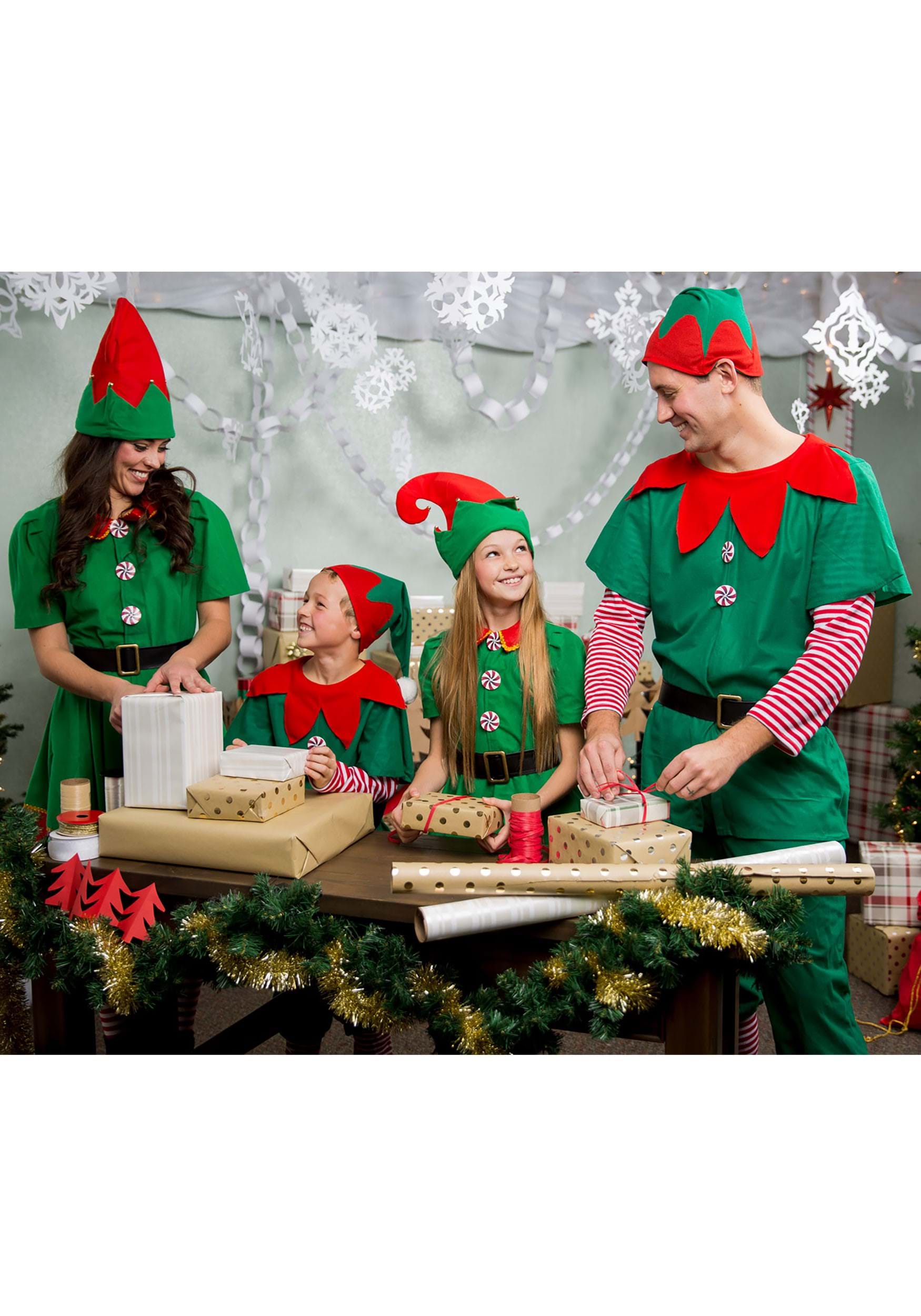 Elf Boxed Adult Costume Set