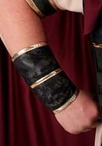 Plus Size Roman Gladiator Costume Alt 6