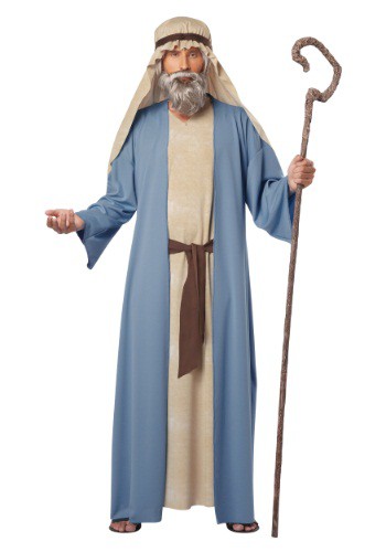 Adult Noah Costume