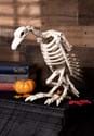 Skeleton Vulture