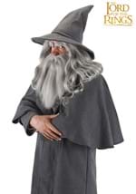 Gandalf Hat