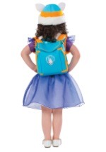 Paw Patrol Everest Costume