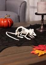 Mini Skeleton Rat