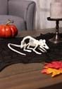 Mini Skeleton Rat