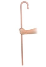 Walking Cane Accessory