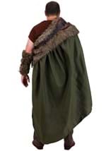 Plus Size Nordic Viking Costume Alt 5