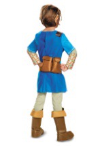 Legend of Zelda Breath of the Wild Link Deluxe Boys Costume