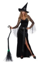 Womens Rich Witch Costume