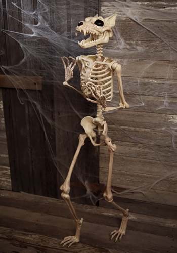 64'' Pose-N-Stay Werewolf Skeleton Update 1