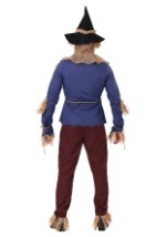 Adult Plus Size Patchwork Scarecrow Costumeback