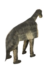Two Person Brawny Brontosaurus Costume Alt 4