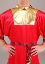 Disney Emperor's New Groove Kuzco Men's Costume