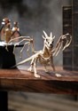 7" Dragon Skeleton Halloween Decoration Update 1