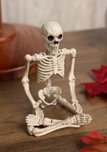 8" Bendable Skeleton Alt 2