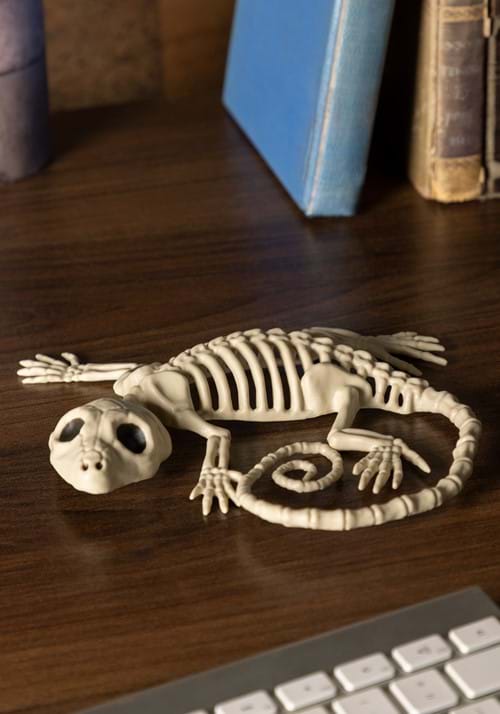 7" Gecko Skeleton Decoration