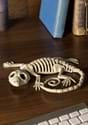 7" Gecko Skeleton Decoration