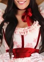 Women's Southern Belle Costume Alt 3
