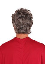 Biblical Moses Wig and Beard Alt 1