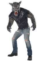 Men's Fully Moon Fury Costume