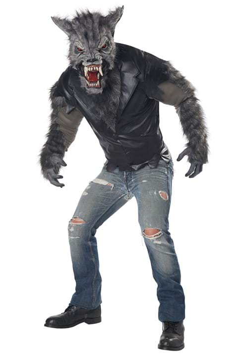 Men's Fully Moon Fury Costume
