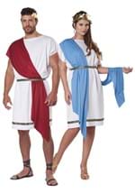 Adult Party Toga Costume Alt 5