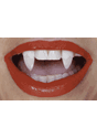 Retractable Fangs Default Down