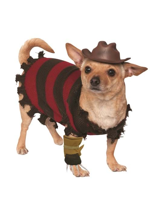 Freddy Krueger Pet Costume
