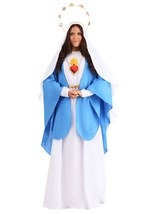 Womens Nativity Mary Costume