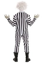 Beetlejuice Adult Costume