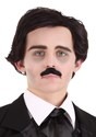 Edgar Allen Poe Wig and Mustache