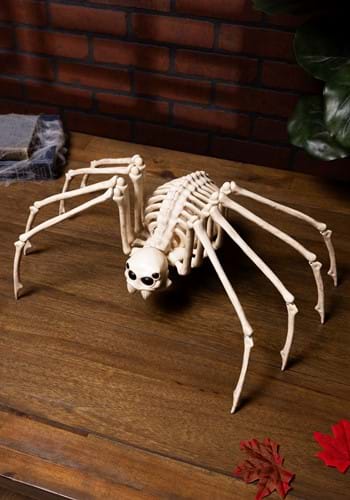 Skeleton Spider