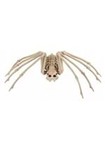 Skeleton Spider Alt 1