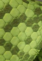 Women's Fierce Snake Costume Alt 4