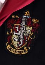 Plus Size Deluxe Harry Potter Costume Alt 4
