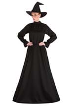 Deluxe Harry Potter Mcgonagall Plus Size Costume-alt2