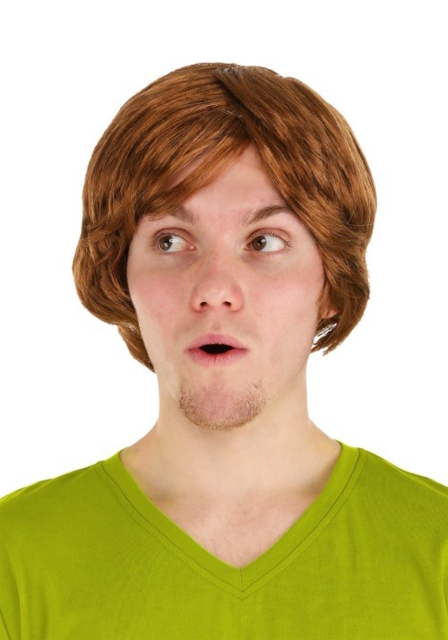 Men's Scooby Doo Shaggy Wig1