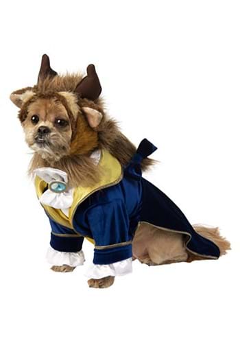 The Beast Pet Cat Costume