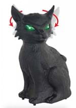 Animated Creepy Cat Décor Alt 1