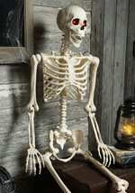 Animated Skeleton Mr. Crazy Bonez 