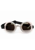 Atomic Ray Goggles Silver/Mirror