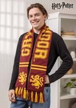 Gryffindor Reversible Knit Scarf