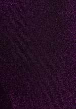 Womens Tejano Pop Singer Costume Alt 3