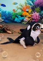Orca Dog Costume
