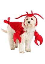 Lobster Dog Costume