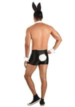 Men's Sexy Bunny Costume Alt 4