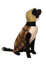 Turtle Dog Costume Alt 1